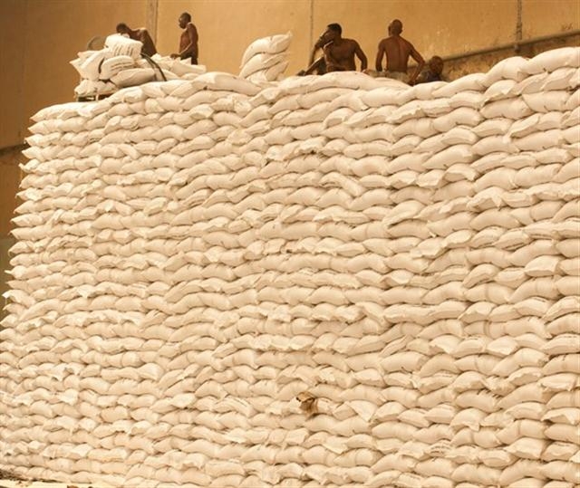 Première conférence mondiale du cacao :  Les enjeux d’une rencontre